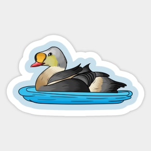 King eider bird cartoon illustration Sticker